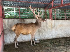 -青峰峡国家森林公园