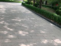 -新川办餐厅