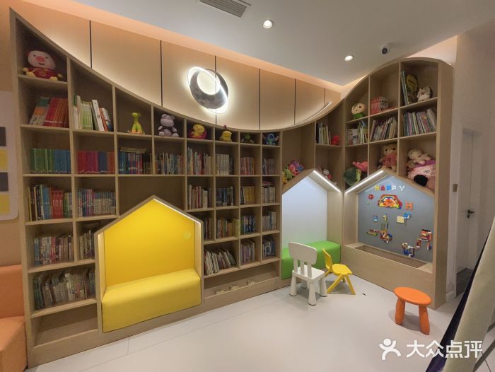 金色雨林学习力培优(专注力提升)图片