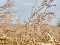-处女泉风景名胜区
