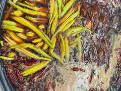 -菜园坝老火锅(金岛店)