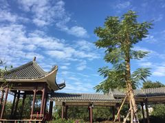 -飞来湖湿地公园