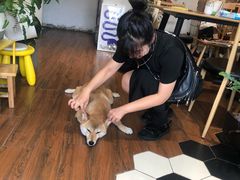 -About Bistro關於·泰式家庭料理