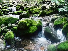 -青峰峡国家森林公园