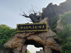 -大槐树寻根祭祖园