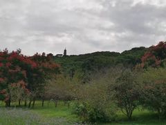 -苏州上方山国家森林公园