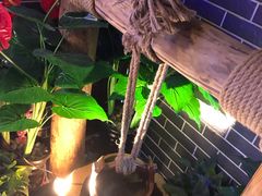 -山珍王国·云南野生菌石锅鱼