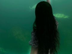 -广东惠东海龟国家级自然保护区