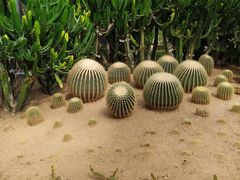 -兰陵国家农业公园