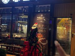 -春田小幸铁板烧(忠义街店)