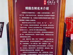 -绮园景区