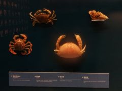 -上海中国航海博物馆