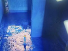 -点石家装(新化店)