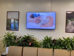 -美联众合动物医院·24h转诊中心