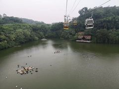-广州长隆国际大马戏