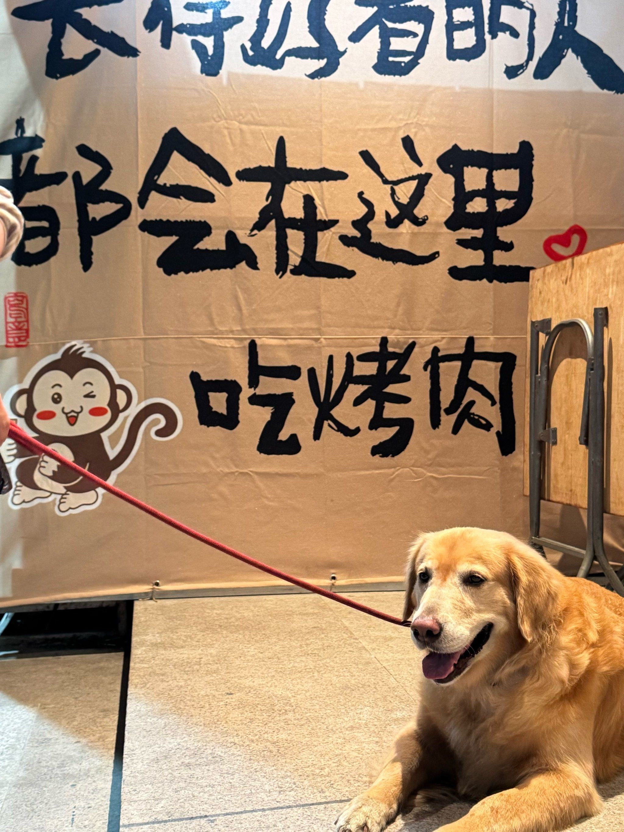 今天的烤肉吃货日记
