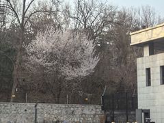 -北京十三陵国家森林公园蟒山景区