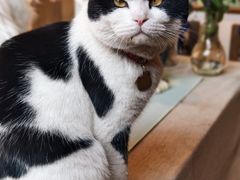 -创艺无限·赵春香微妙艺术馆