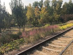 -永定河休闲森林公园