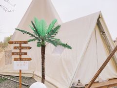 -安德鲁户外烧烤帐篷营地(马泉营店)