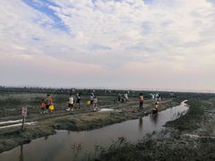 -南汇新城海滩