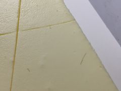 -21cake廿一客蛋糕