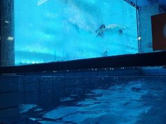 -沃特精灵儿童水育馆(华南店)