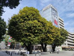 -越秀公园(地铁站)