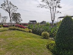-光明小镇欢乐田园