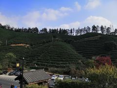 -心无尘茶餐馆(径山村店)