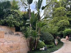 -海兰云天度假区温泉