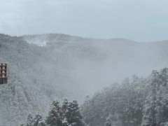 -明月山天沐温泉度假村