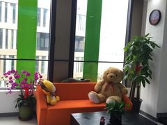 -上海盛视天橙传媒股份有限公司