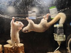 -太平洋海底世界