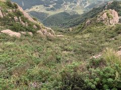 -白草畔自然风景区