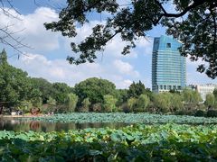 -无锡蠡湖国家湿地公园-蠡园