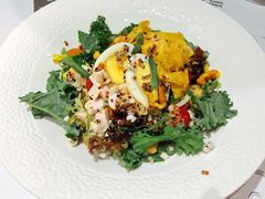 墨西哥玉米片鸡肉混合坚果沙拉-Deer Park鹿园西餐(仁恒置地广场店)