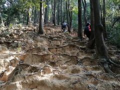 -火炉山森林公园