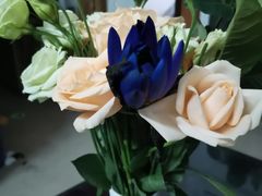 -九月生活(清波街店)