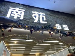 -NY漂发染发主打