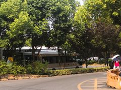 -乌镇西栅景区·1号停车场