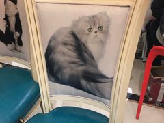 -猫先生时尚火锅(桂平路店)