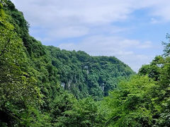 -碧峰峡风景区