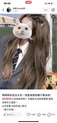 -禾里設計