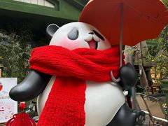 -轩客会(熊猫书店)