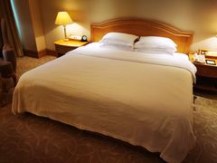 -南京维景国际大酒店(南京博物院店)