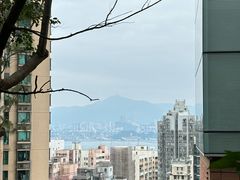 -香港大学
