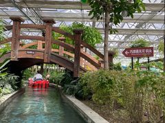 -南宫五洲植物乐园