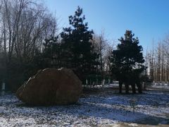 -长白岛森林公园