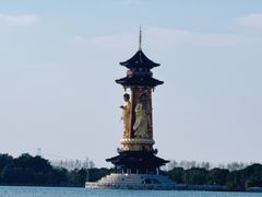 -溱湖国家湿地公园